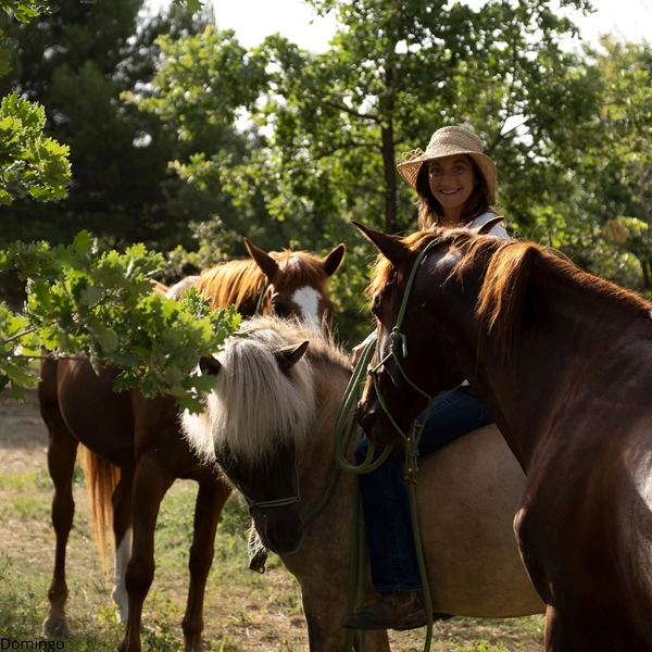 Ecurie des murmures - La relation Cheval-Humain au coeur du Luberon - DE