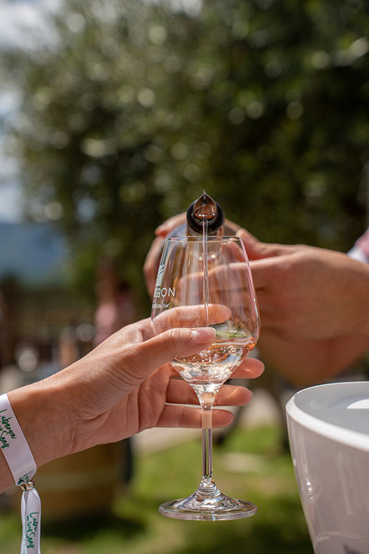 Robion - Genusswanderung im Herzen der Weinberge und der AOP-Ventoux-Weine Genusswanderung im Domaine des Peyre in Robion rund um die AOP-Ventoux-Weine
