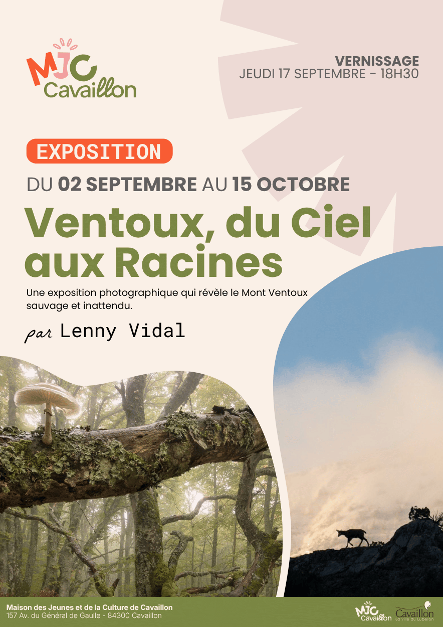 Plakat der Ausstellung Ventoux, du ciel aux racines von Lenny Vidal