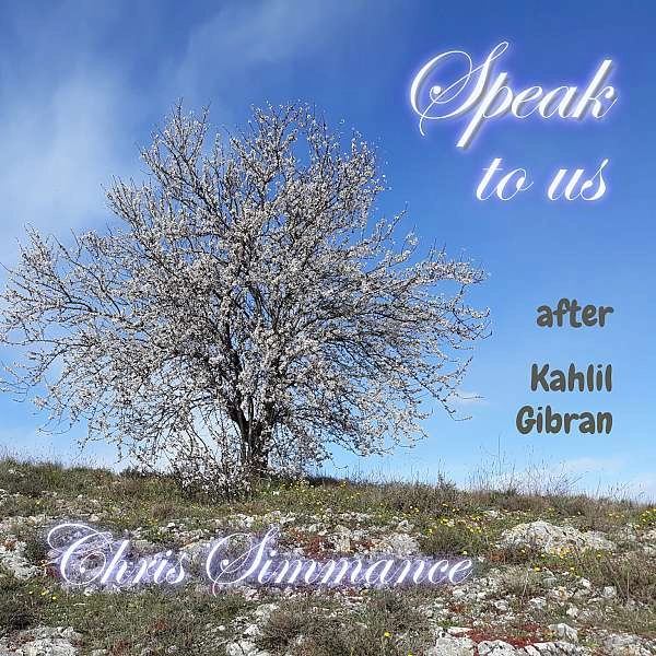 Chris Simmance bei einem Konzert in Lourmarin