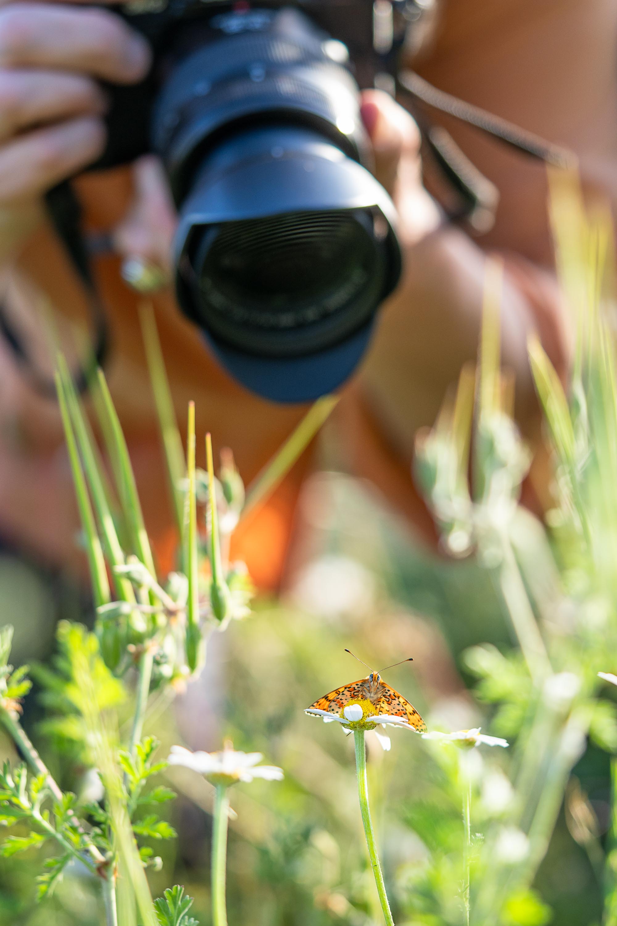 Vortrag über Naturfotografie mit David Tatin