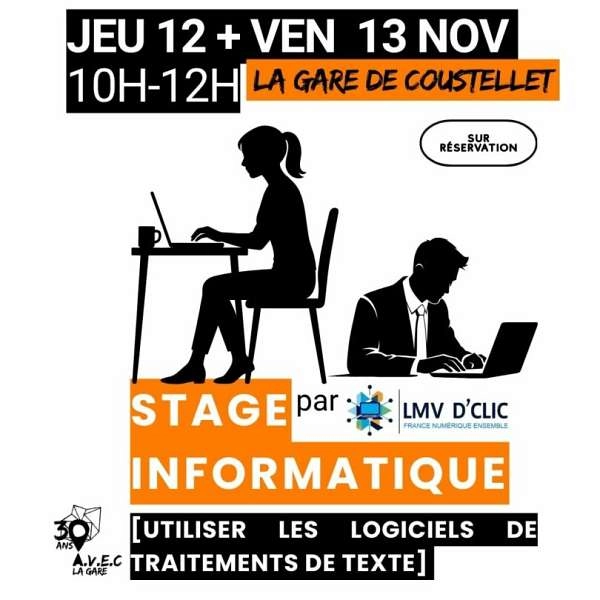Stage informatique par LMV D’Clic - DE