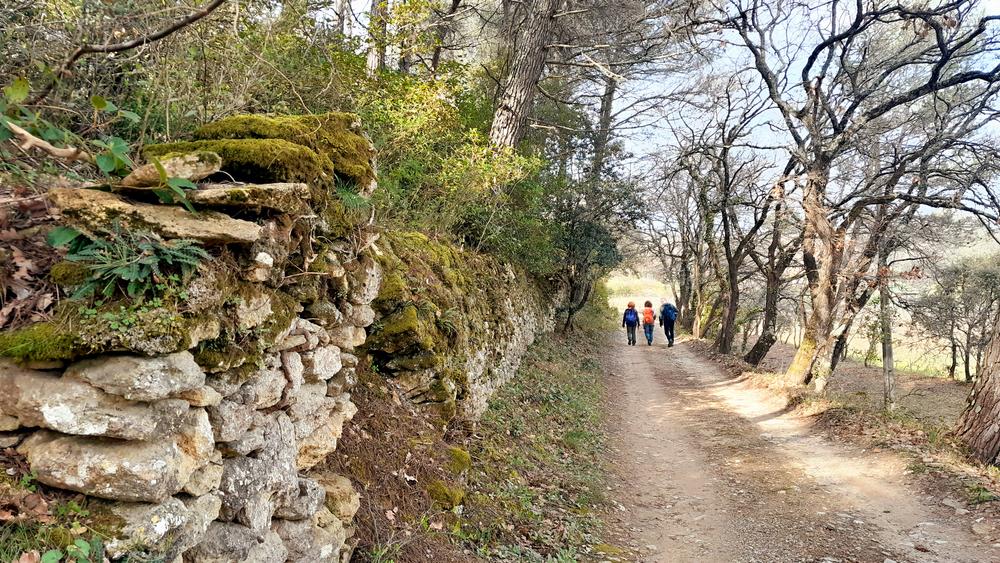 Sentier des Ribas in Vieil-Oppède bei einer geologischen Wanderung im Luberon