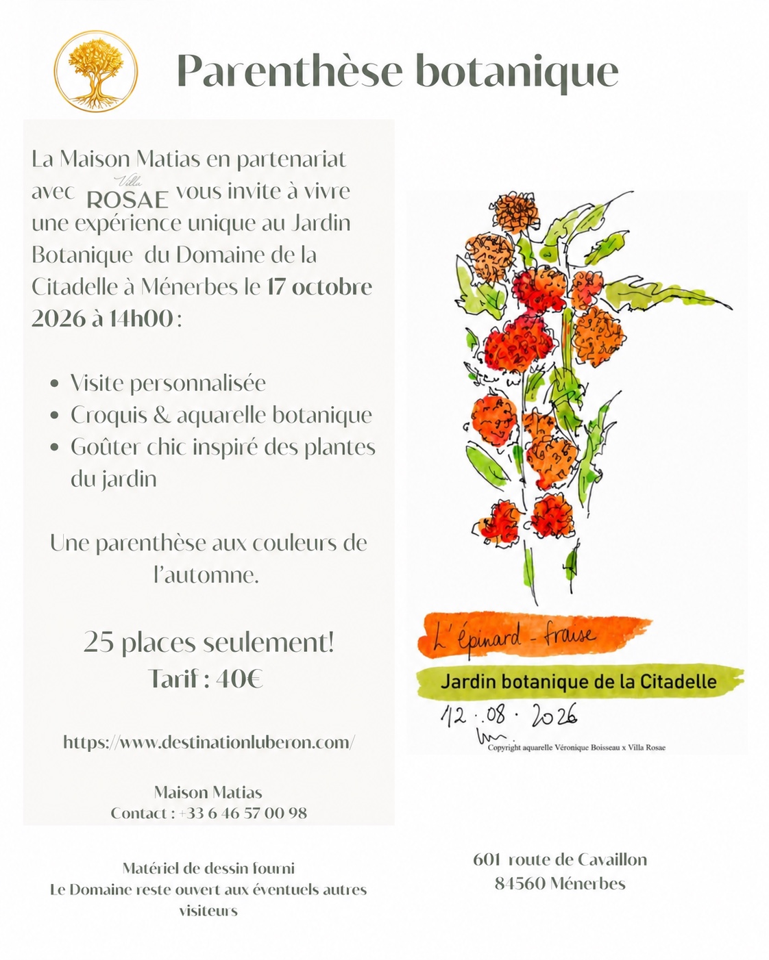 Programm der botanischen Auszeit mit Aquarell und Genuss von Maison Matias