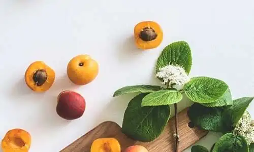 apricot.jpg