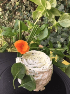Sommer-Ricotta mit Basilikum von Chef Prévot