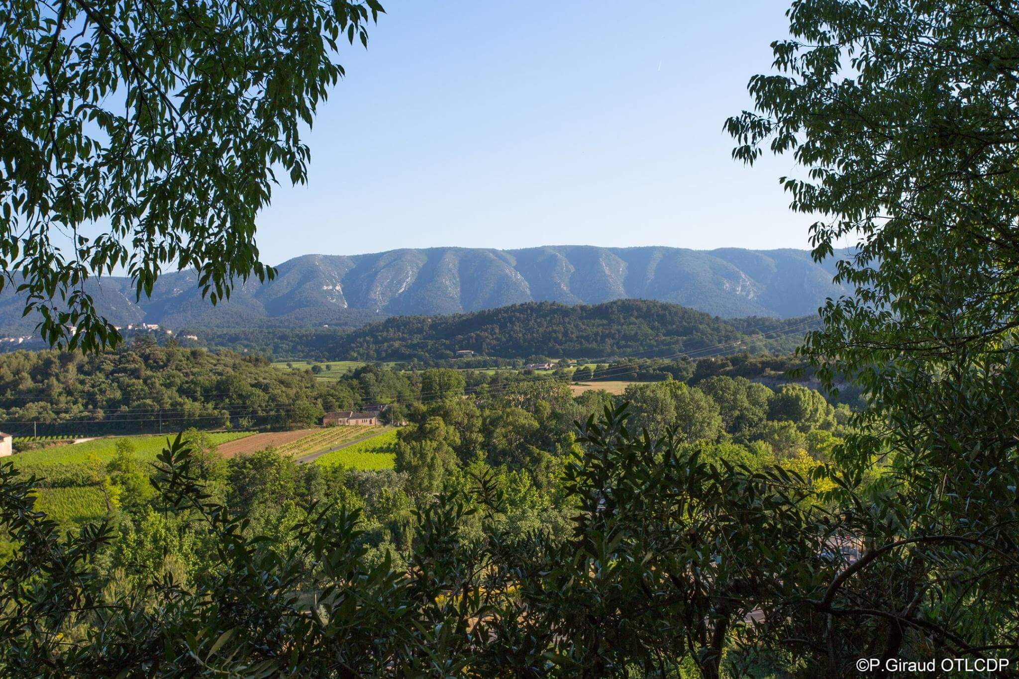Blick auf das Luberon-Massiv bei Les Taillades in der Provence
