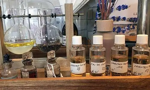 Les 5 sens de la lavande