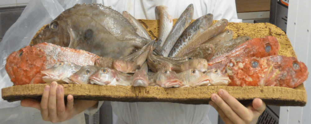 Relais des Saveurs - Cavaillon