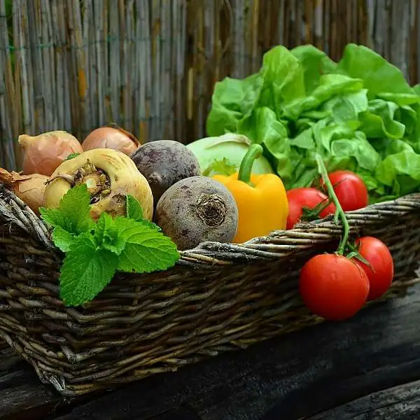 Liste des producteurs locaux : vente directe/livraison