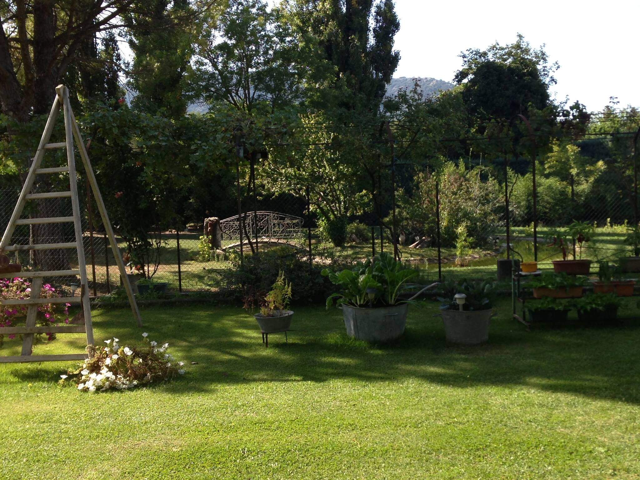 Auberge paysanne - Robion