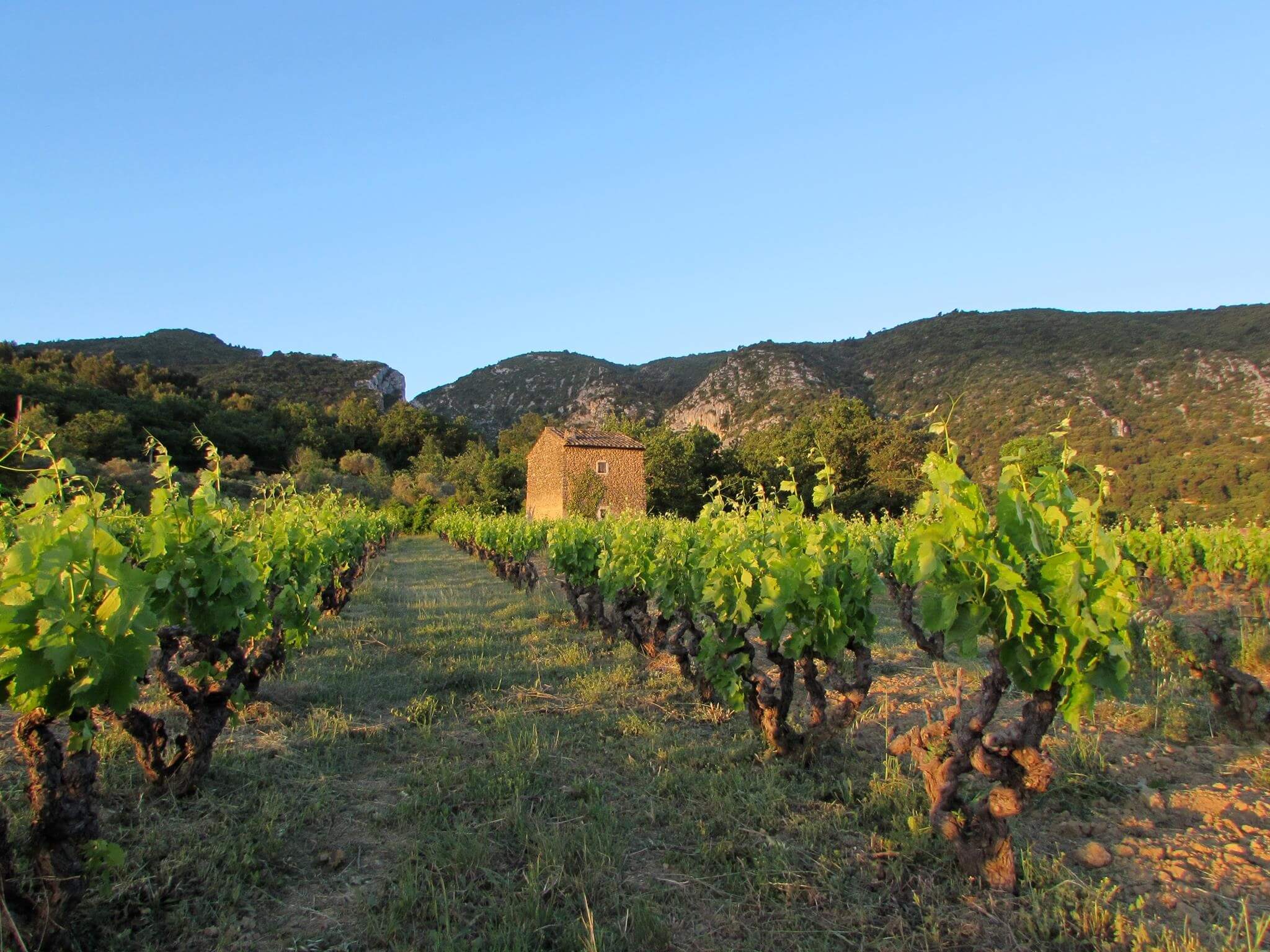 Domaine Val de Combrès - Maubec