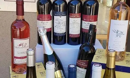 Domaine Meillan Pagès
