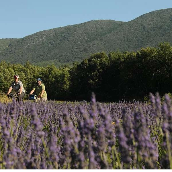 Rund um den Luberon mit dem Fahrrad