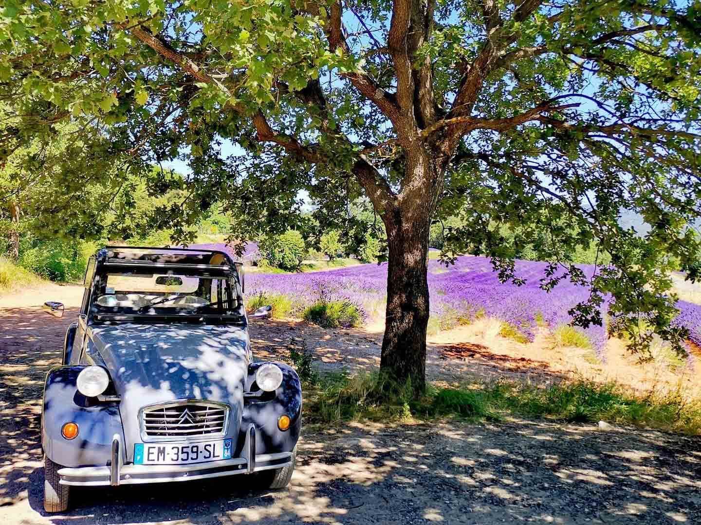 2 Lebensläufe in Provence - Saumane