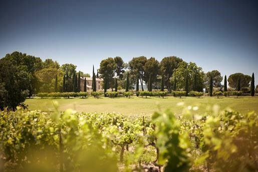 Weinverkostung bei Sunsets Vignerons Weinverkostung und Gourmet-Kombinationen währenddessen