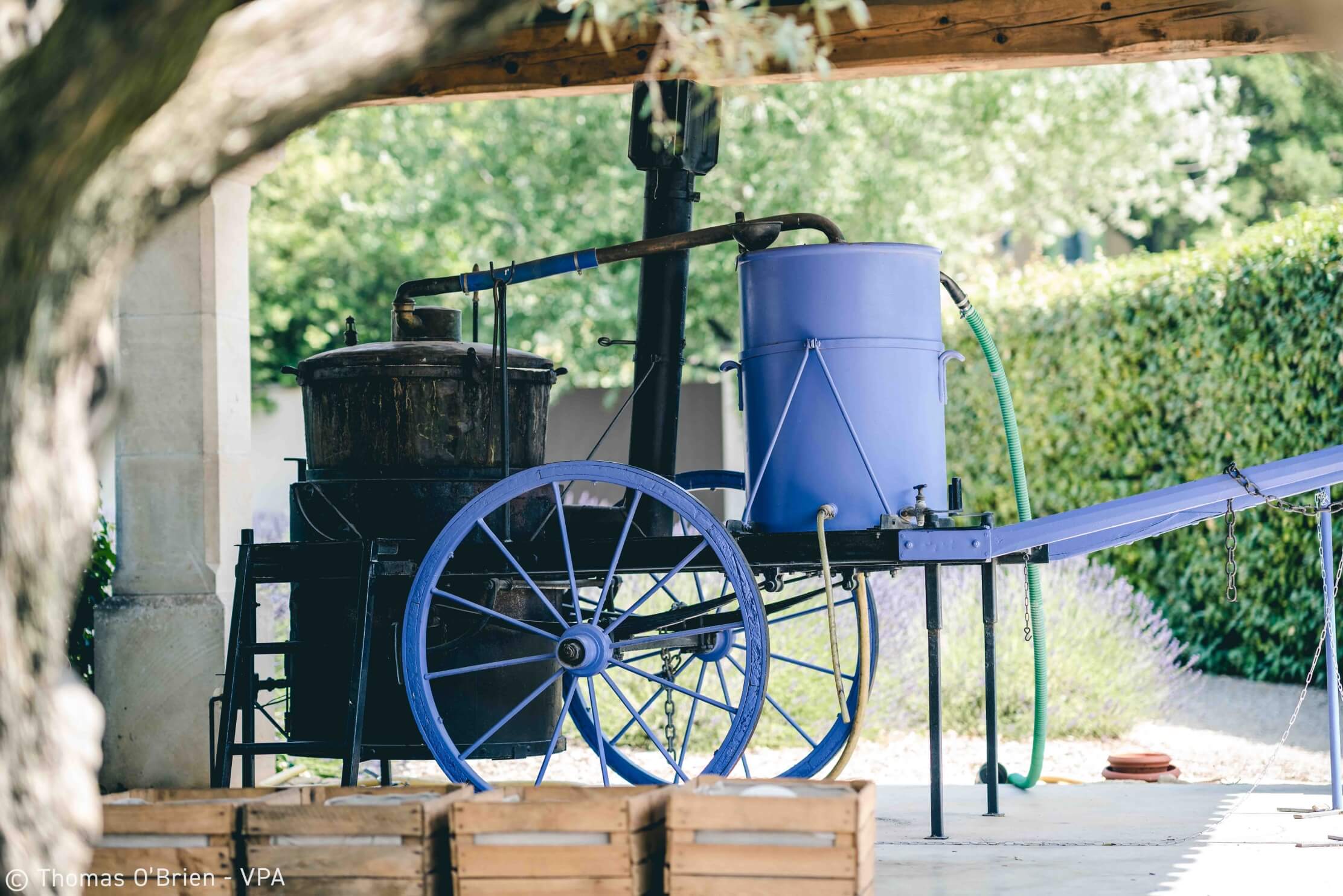 Welt des echten Lavendels der Provence mit Hervorhebung des Lavendelanbau-Know-hows