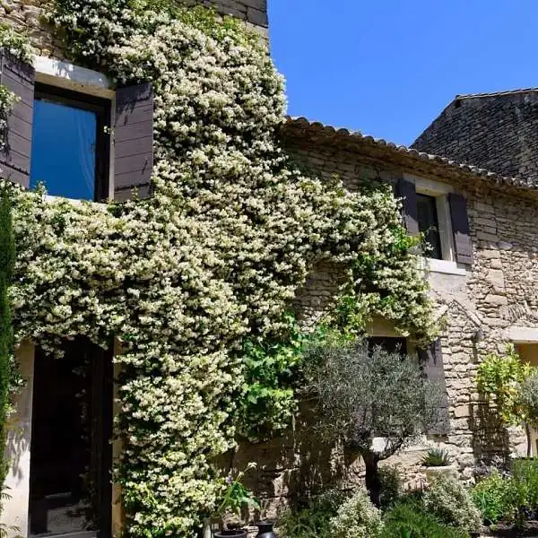 Provence Km28