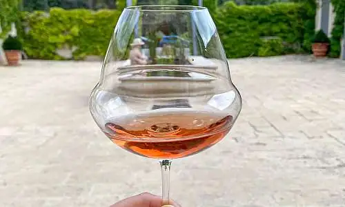 Domaine viticole