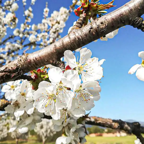 Week-end de printemps en amoureux 