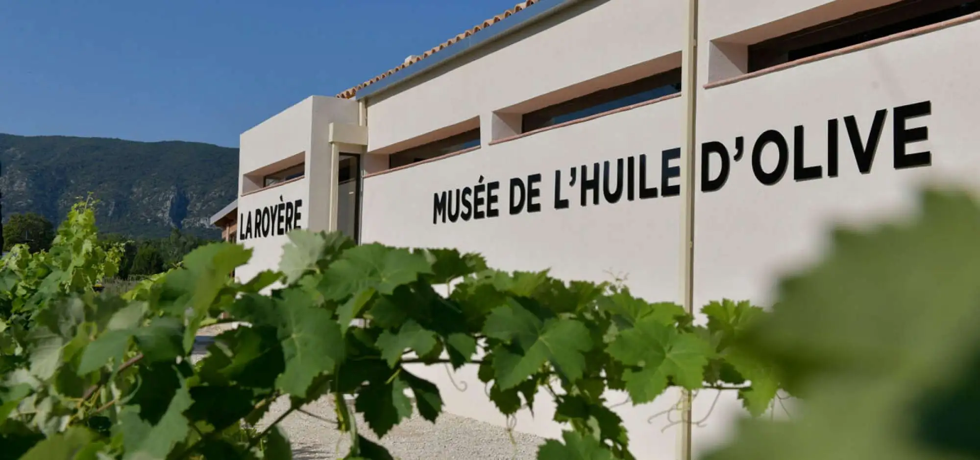 Sunsets Vignerons 2025 in La Royère