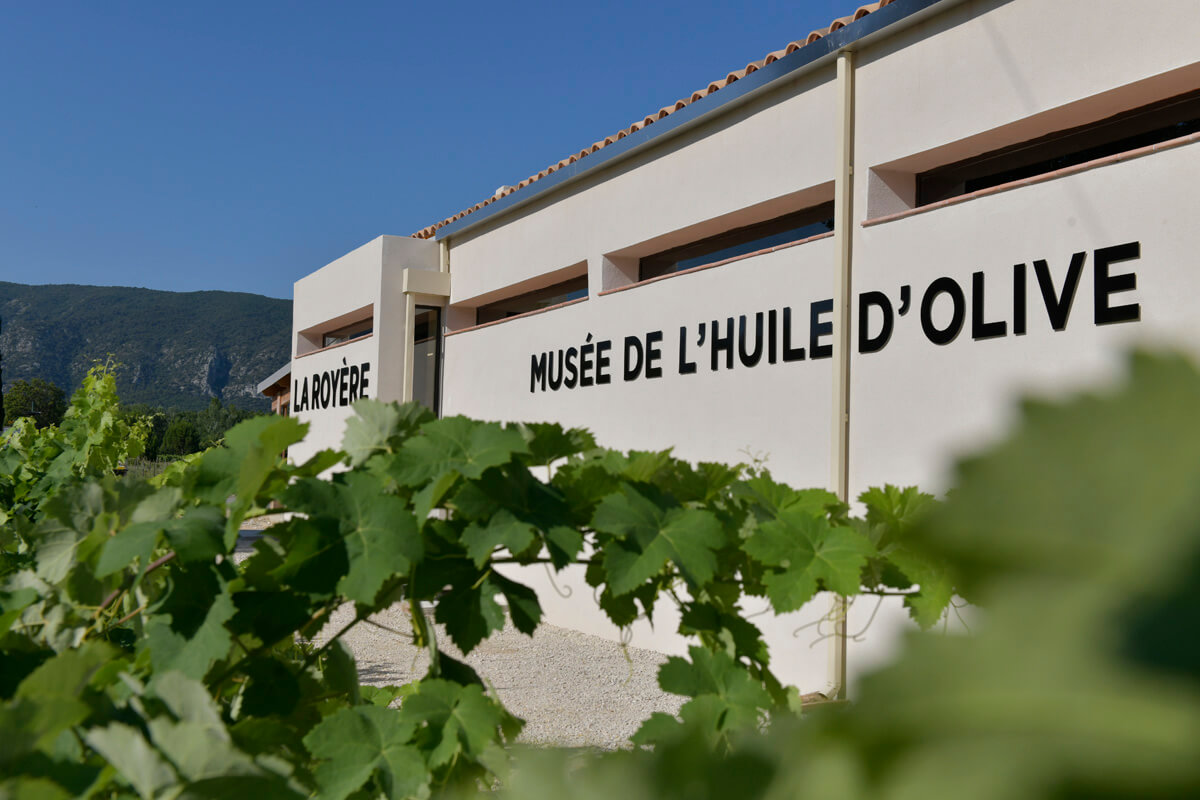Weinberge und Olivenhaine von Domaine La Royère in Oppède dans le Luberon