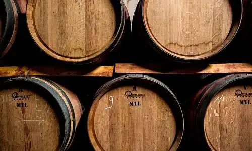 Son chai de vinification