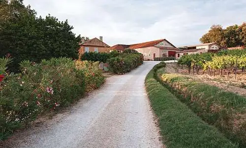 À travers les promenades balisées