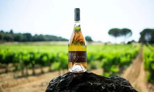 Domaine Les Perpetus