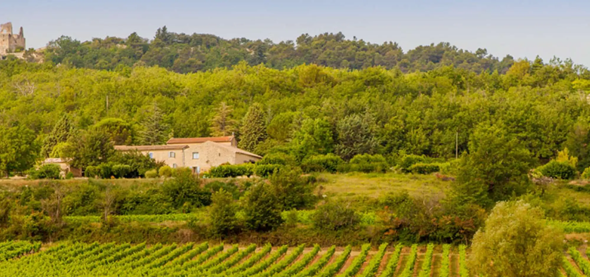 Cave de Bonnieux