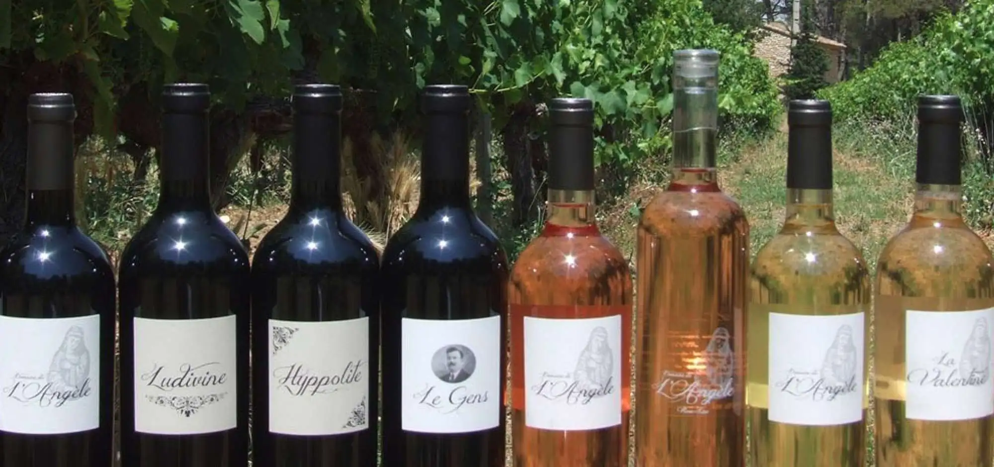 Domaine de l’Angèle