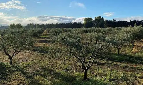 Domaine Clos des Faucons