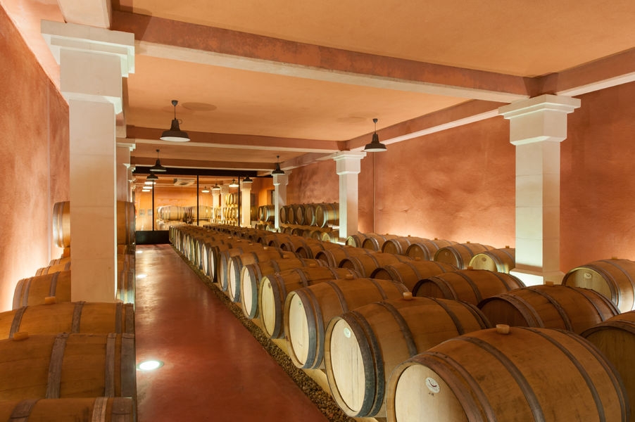 Keller des Weinguts Mas Edem mit Reihen von Holzfässern für den Weinausbau