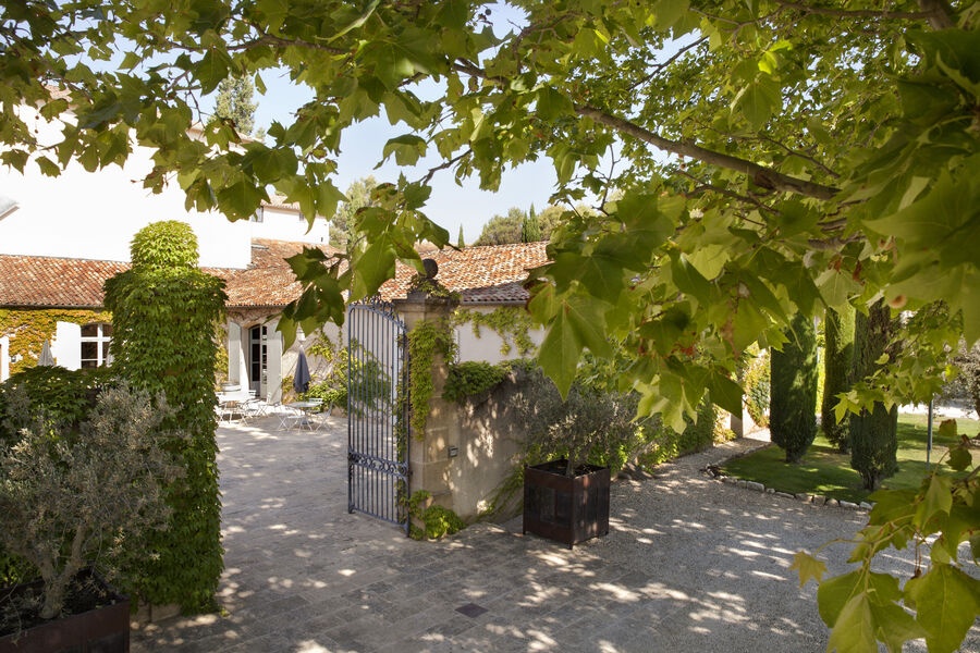 Weinberge von Château La Verrerie Vignes du Schloss La Verrerie in Puget dans le Luberon