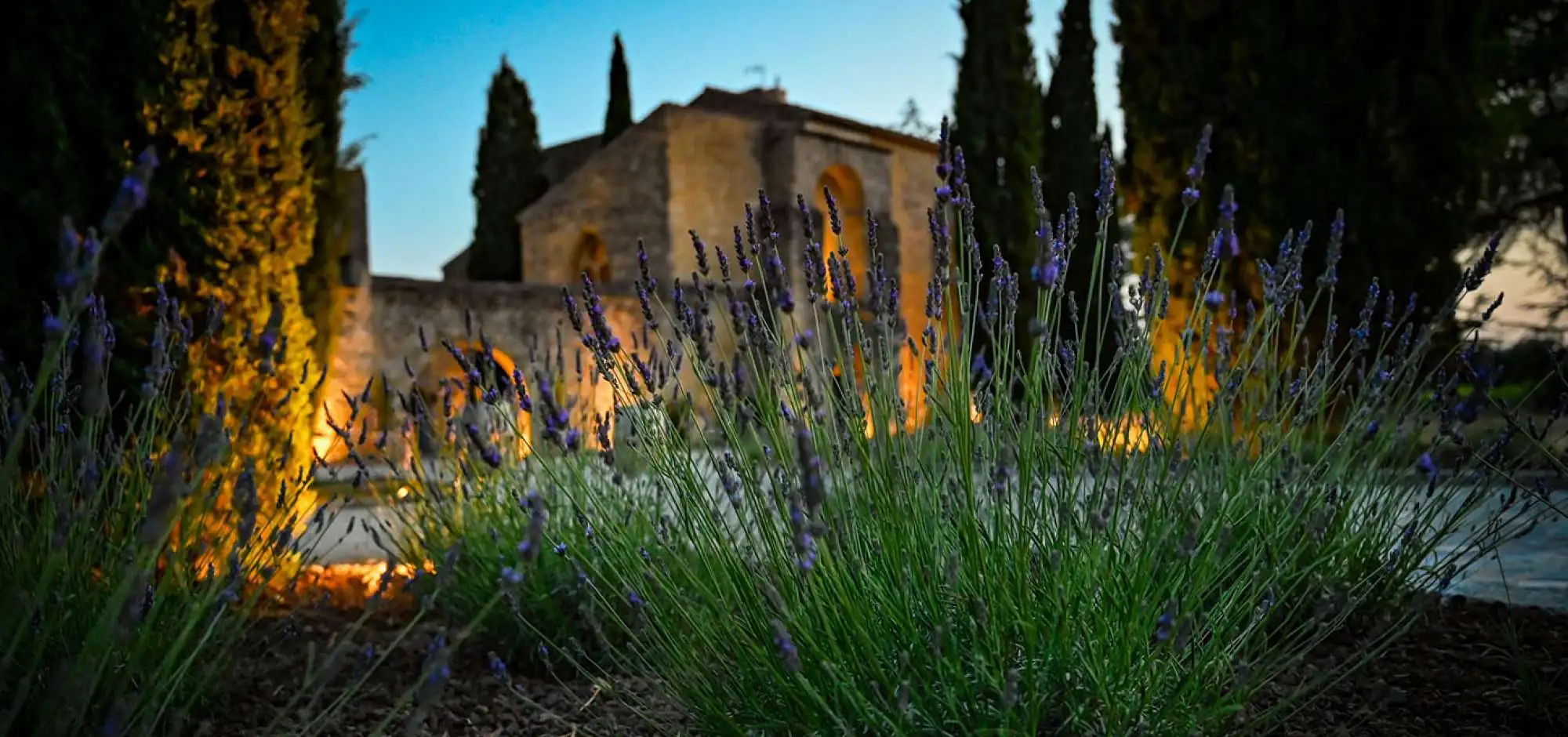 Sonnenuntergänge der Winzer 2026 im Château St Pierre de Mejans