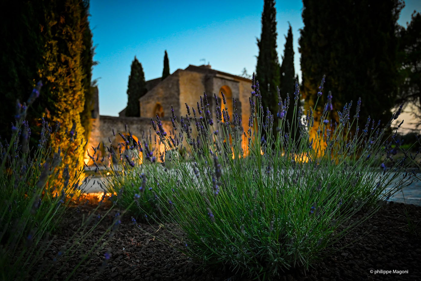 Soirée Sunsets Vignerons au Schloss St. Pierre de Mejans in Puyvert dans le Luberon