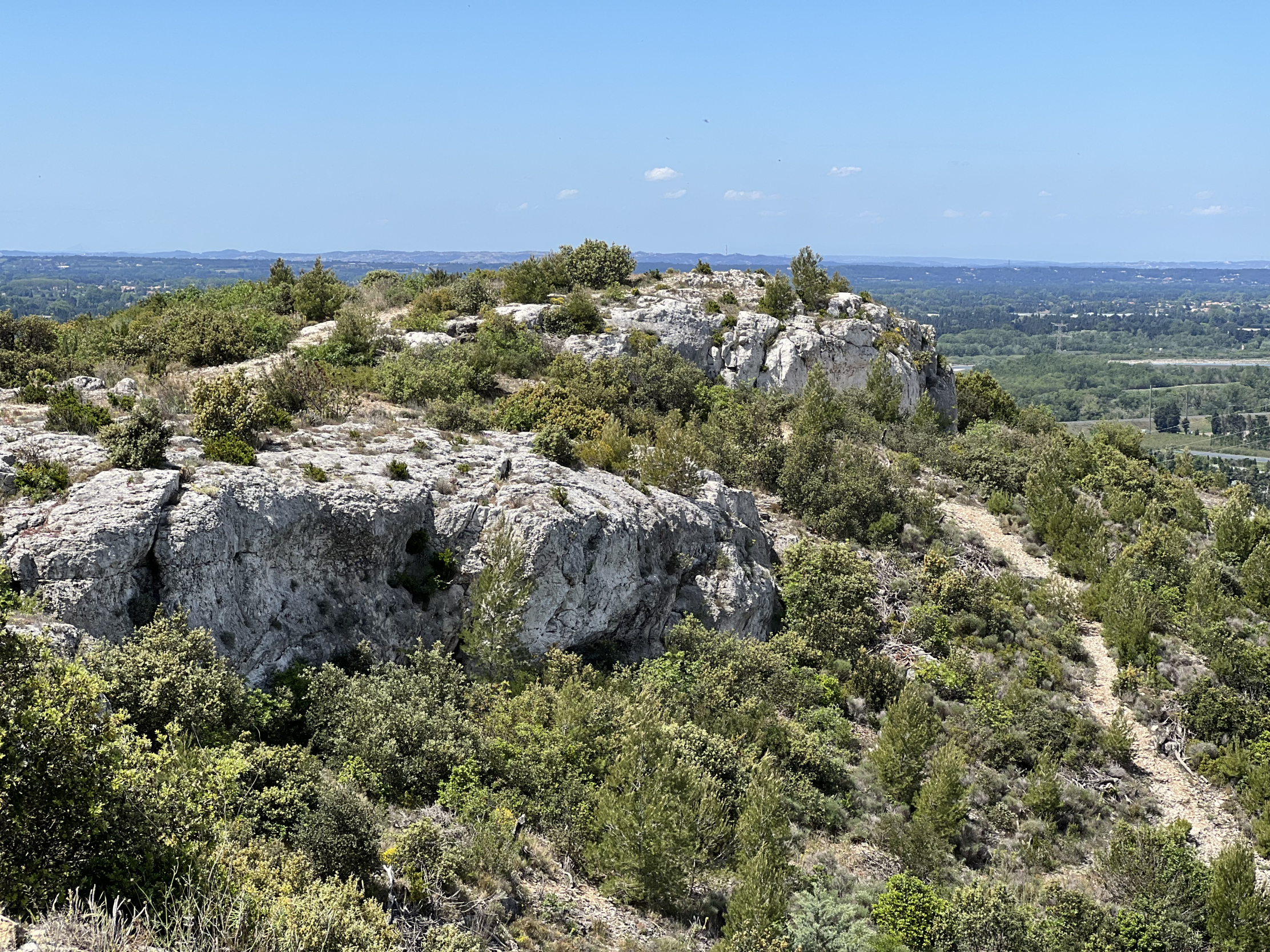 Der Aufstieg wird mit wilder Natur auf dem Gipfel der Colline Saint-Jacques belohnt Nahaufnahme von Kalksteinfelsen und Garrigue-Vegetation auf dem Gipfel der Colline Saint-Jacques unter klarem blauem Himmel.