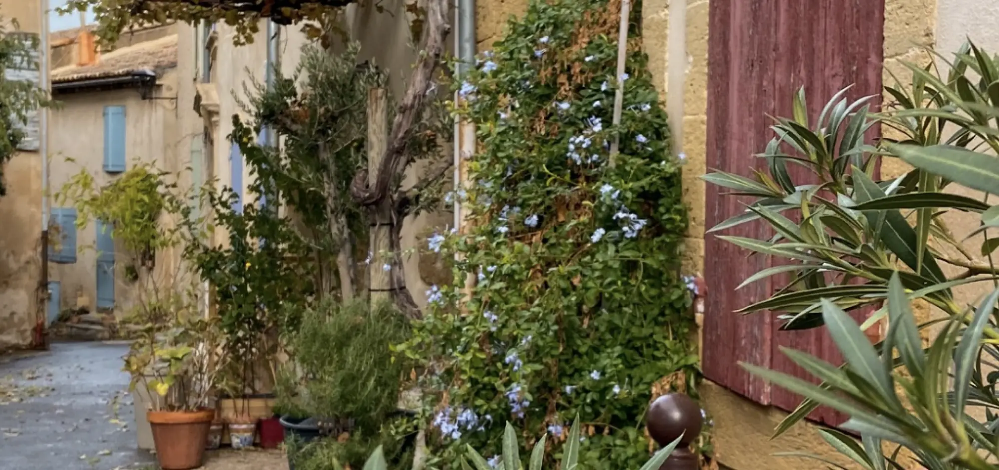 Was tun im Luberon bei Regen? Unsere besten Indoor-Tipps