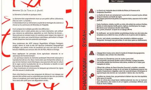 Brochure