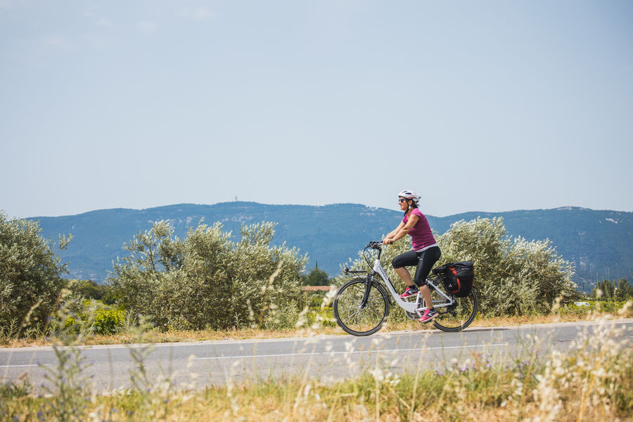Radfahrer auf den Straßen des südlichen Luberon zwischen Lourmarin, Cucuron und Cadenet