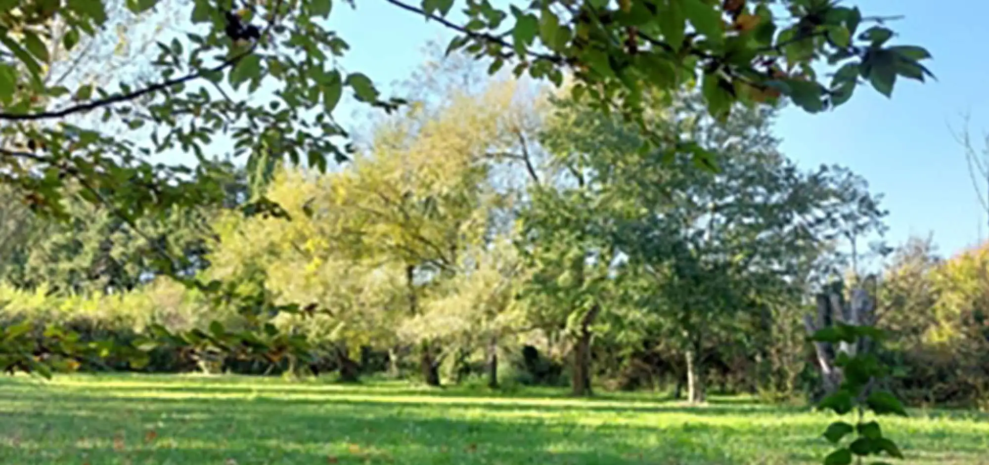 Aire naturelle de la Folie