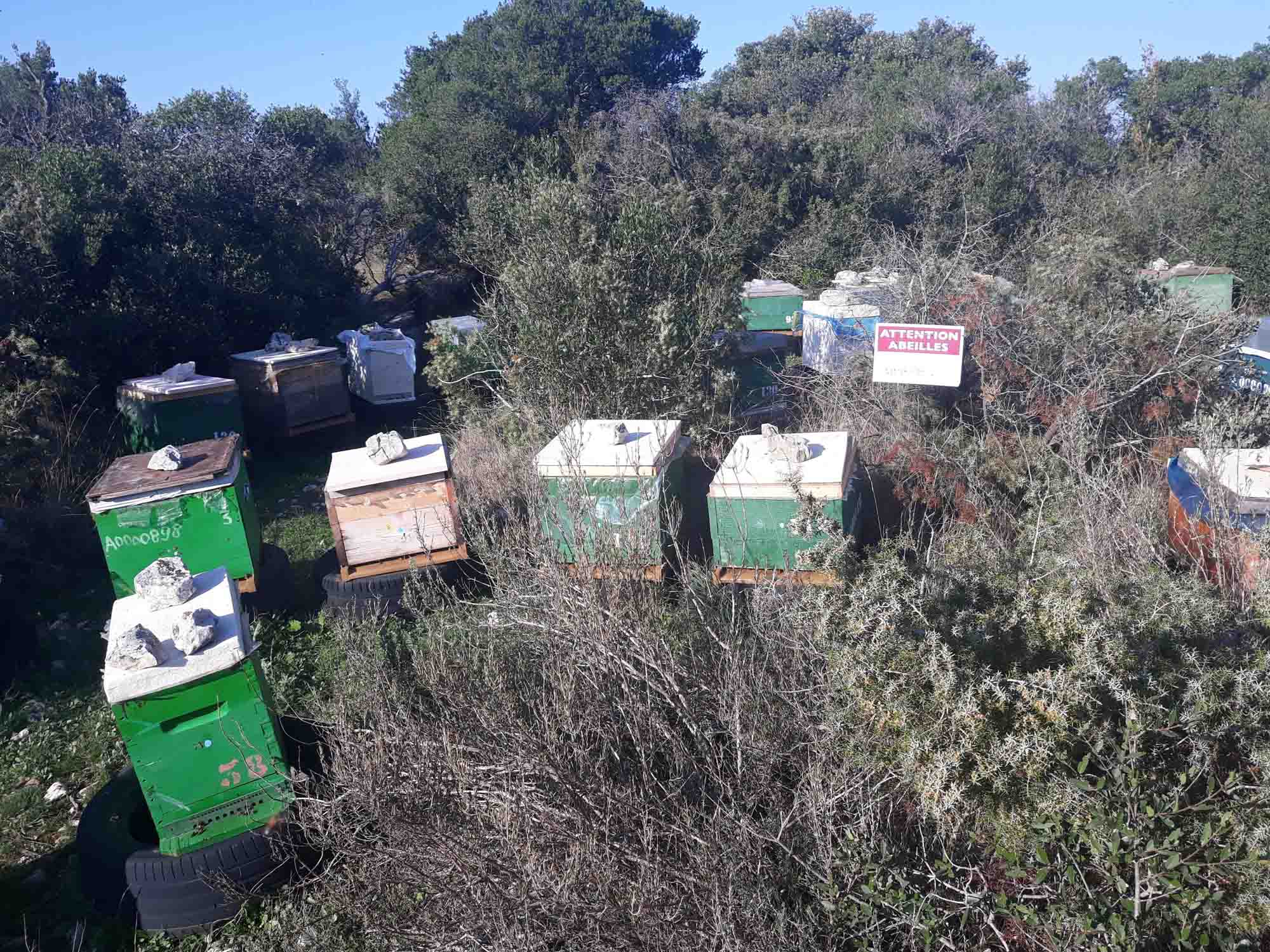 Rucher petit Luberon - Cavaillon