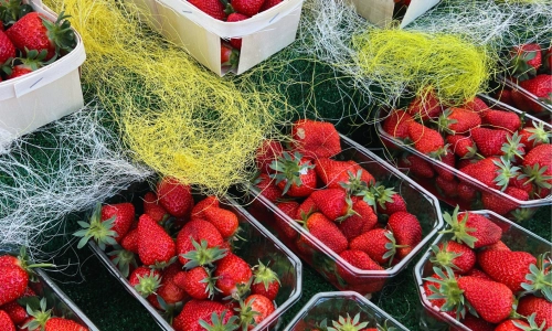 fraise 