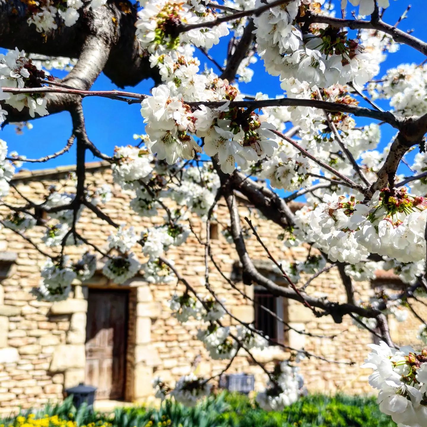 Le Moulin Le Clos des Jeannons - Gordes