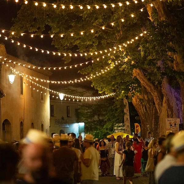 Wine & Dine - ein magischer Abend im Herzen des Luberon