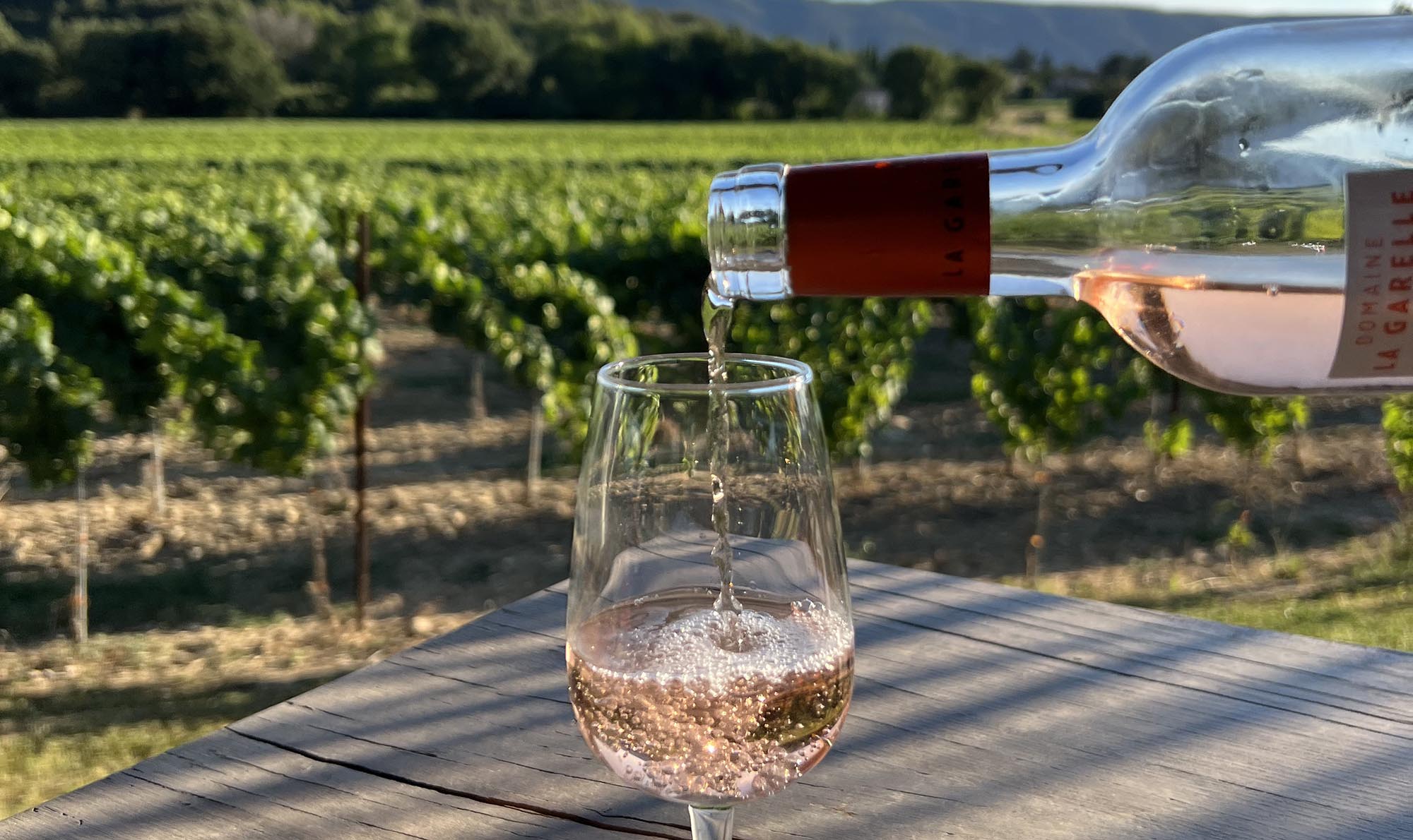 Weinberge von Domaine La Garelle in Oppède dans le Luberon
