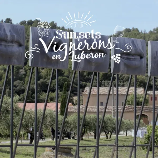 Sunsets Vignerons im Domaine des Peyre