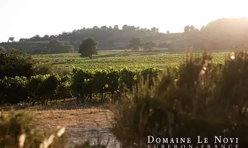 Domaine Le Novi