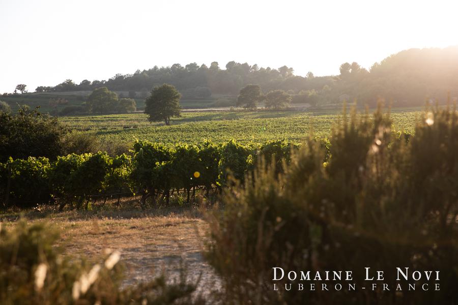 Domaine Le Novi à La Tour-D
