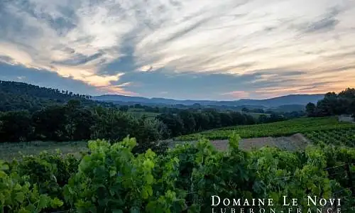 Domaine Le Novi